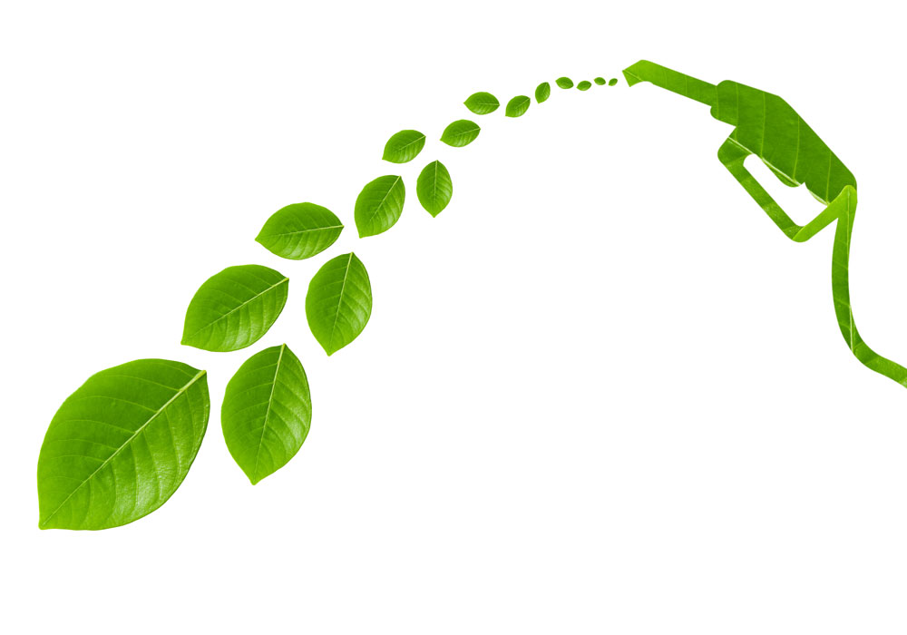 Green-solutions-shipping